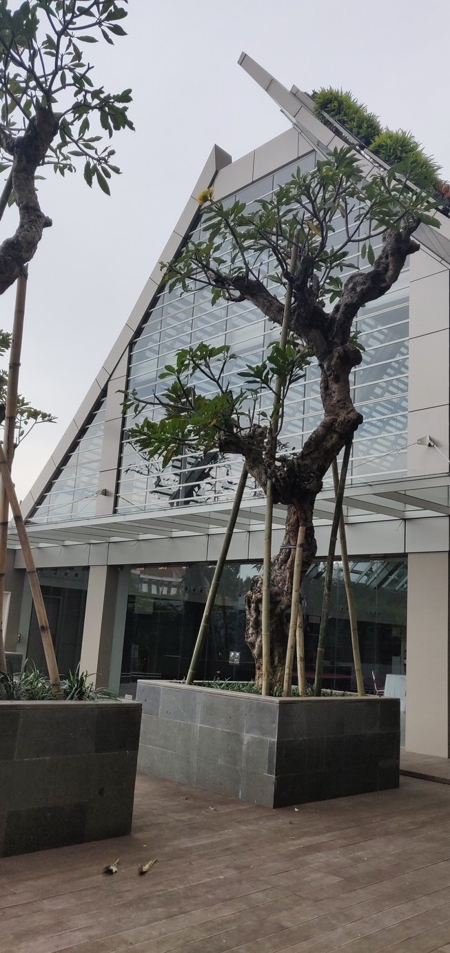 Lumino Landmark Residence 01